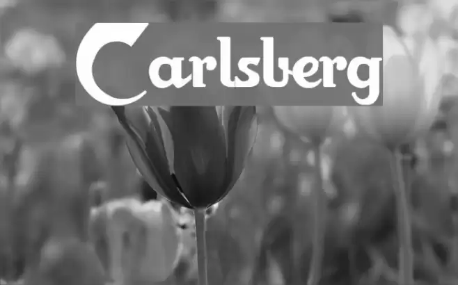Carlsberg Caratteri examples