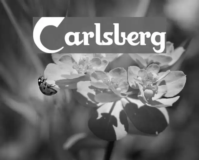 Carlsberg Caratteri examples