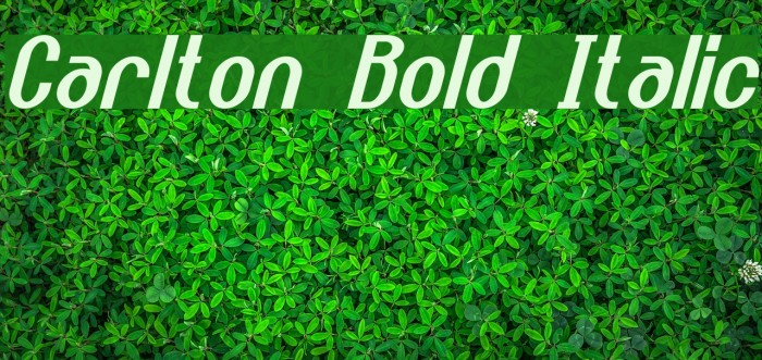 Carlton Bold Italic Font examples