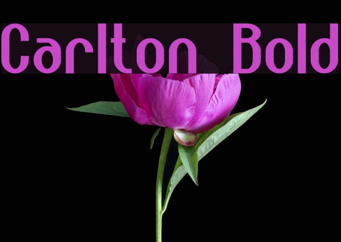 Carlton Bold Font examples