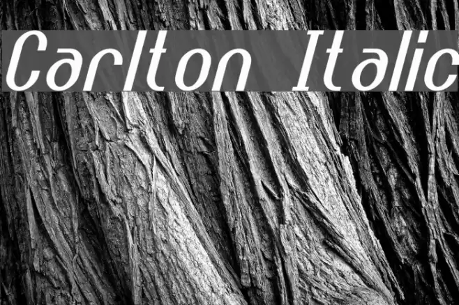 Carlton Italic Font examples