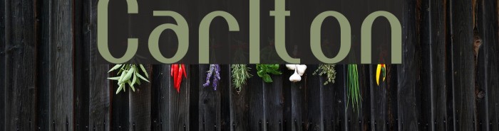 Carlton Font examples