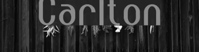 Carlton Font examples