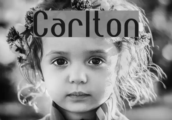 Carlton Font examples