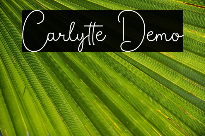 Carlytte Demo Example 3