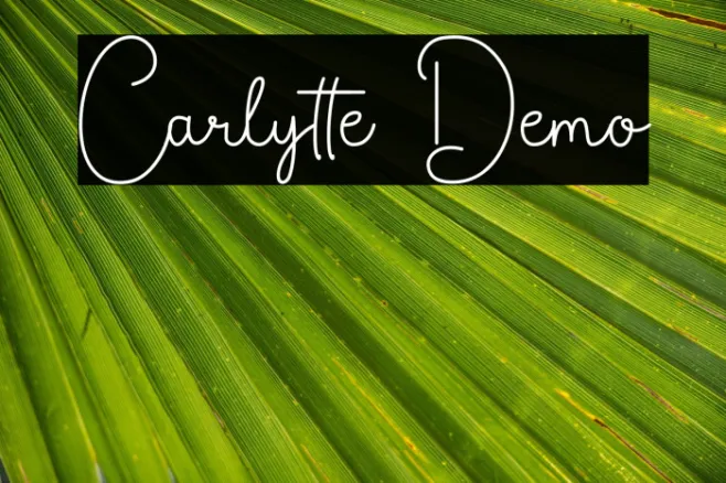 Carlytte Demo Example 3