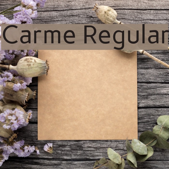 Carme Regular Font examples