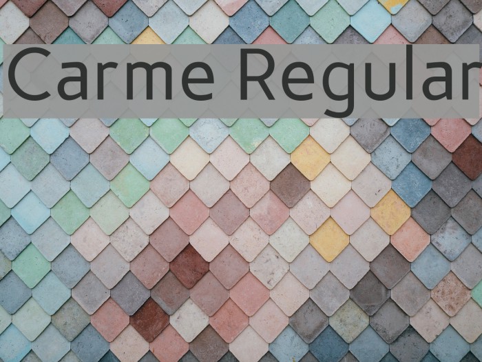 Carme Regular Font examples