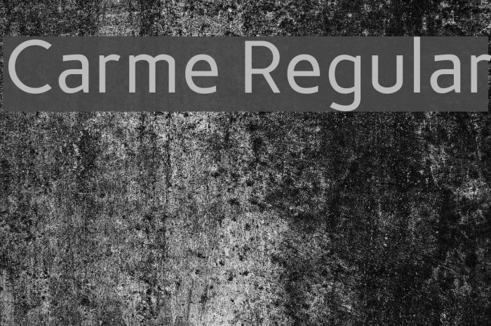 Carme Regular Font examples