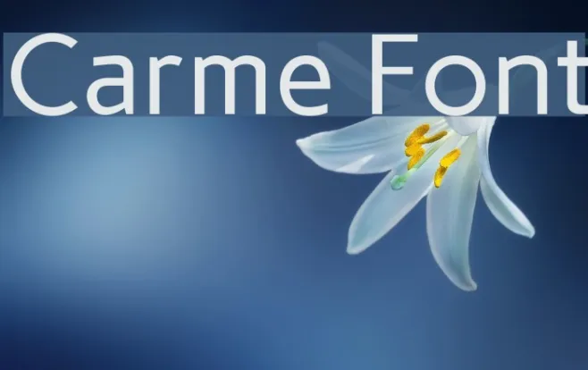 Carme Example 2