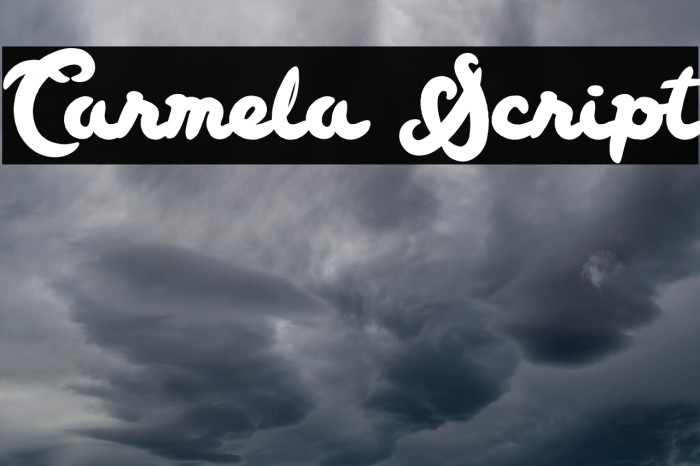 Carmela Script Example 1