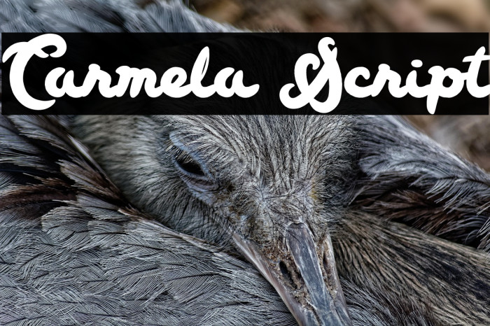 Carmela Script Example 2