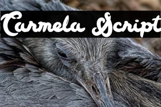Carmela Script Example 2