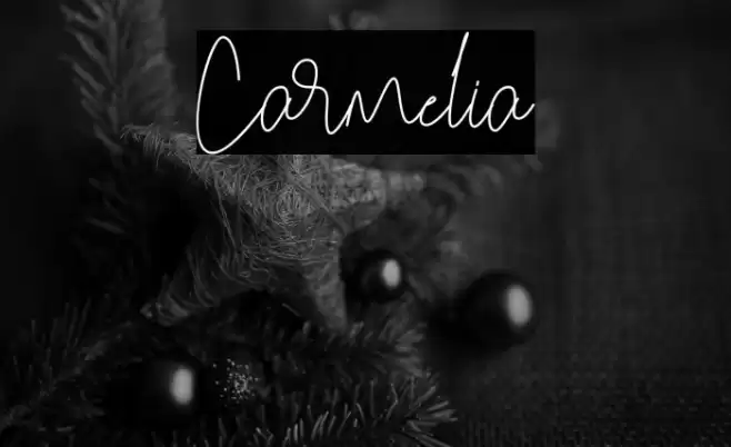 Carmelia Font examples