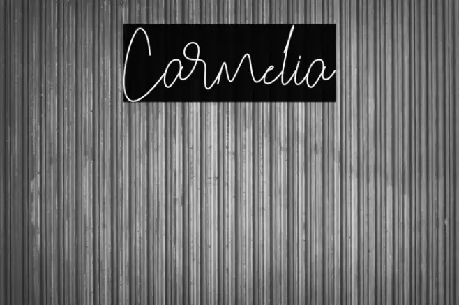 Carmelia Font examples