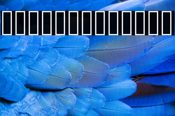 Carmelit Bold Bold Example 2