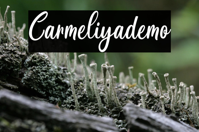 Carmeliya_demo Example 2