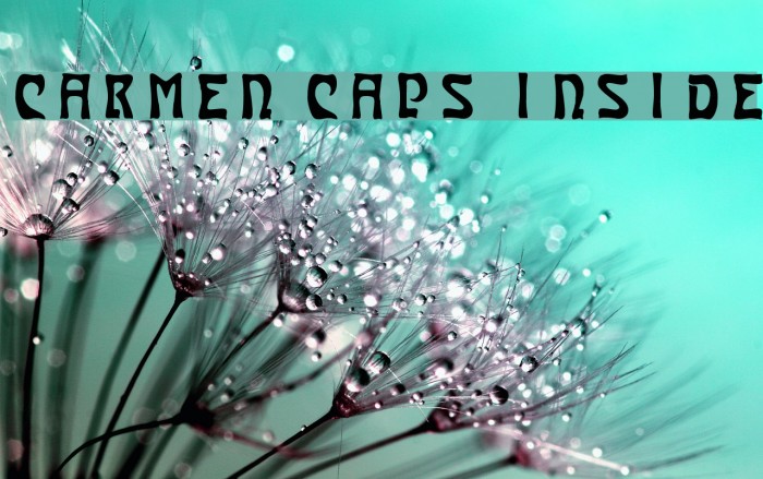 Carmen Caps Inside Font examples
