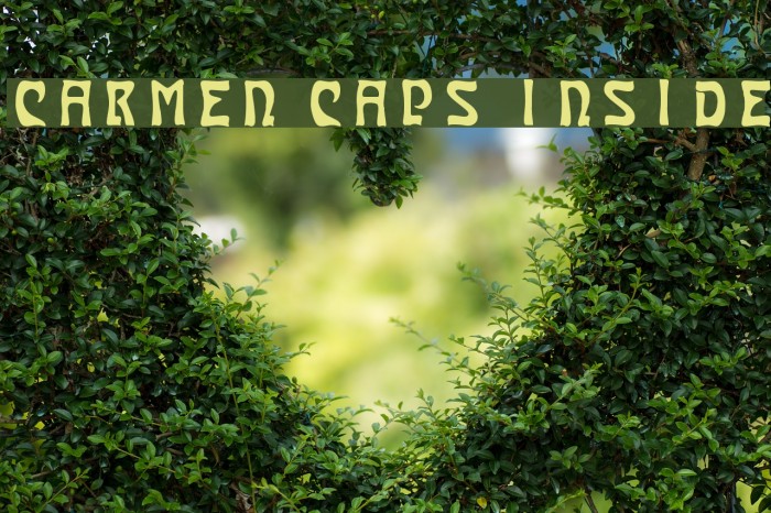 Carmen Caps Inside Font examples