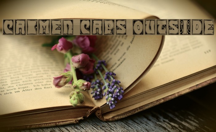 Carmen Caps Outside Font examples