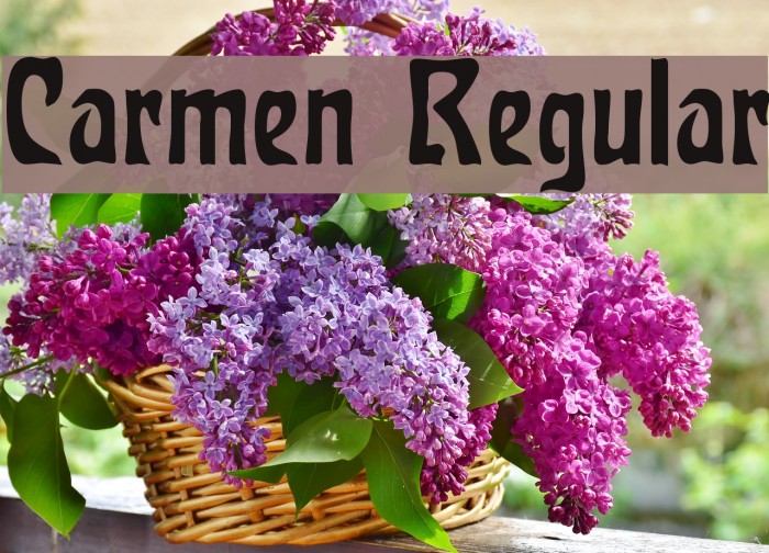 Carmen Regular Example 3