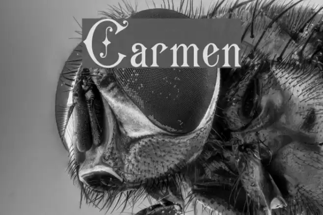 Carmen Font examples