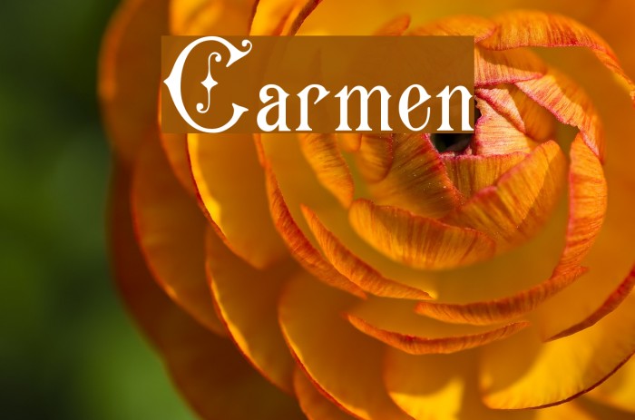 Carmen Example 2