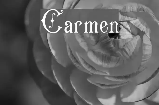 Carmen Font examples