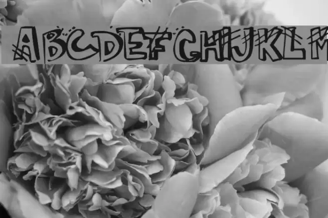 Carmen Font examples