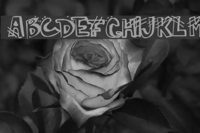 Carmen Font examples