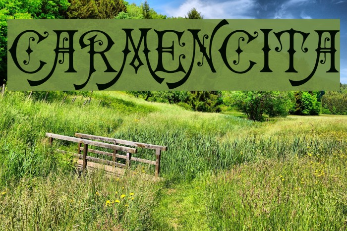 Carmencita Font examples