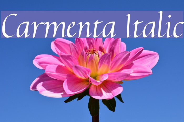 Carmenta Italic Font examples