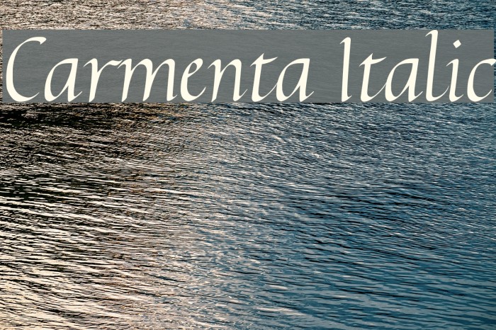 Carmenta Italic Font examples