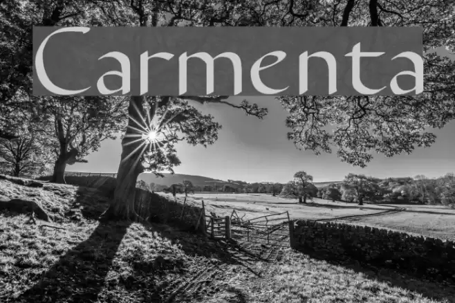 Carmenta Font examples