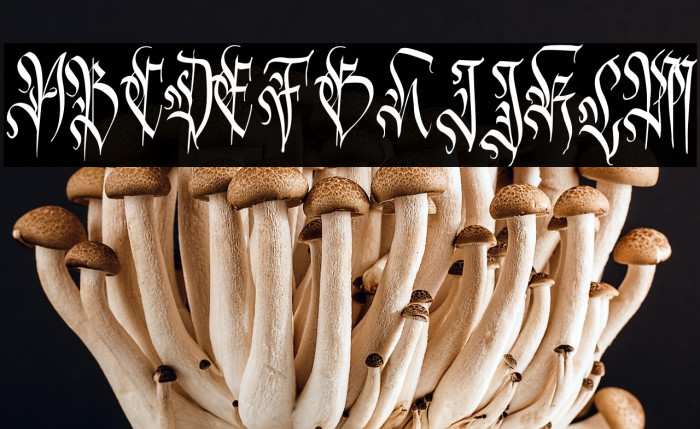 Carmilia-Free Example 2