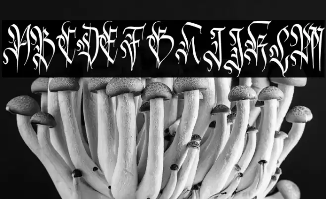 Carmilia-Free Font examples