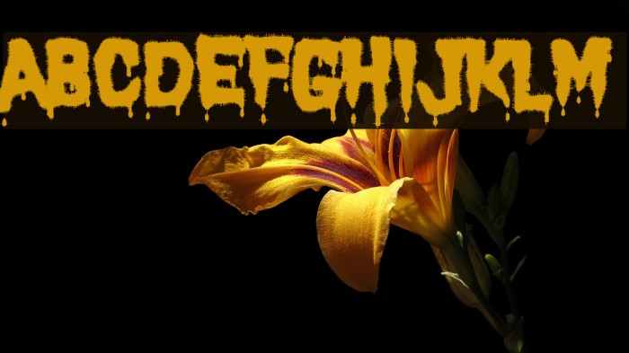 Carnage 1974 Font examples