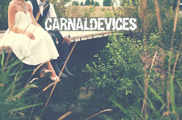CarnalDevices Font examples