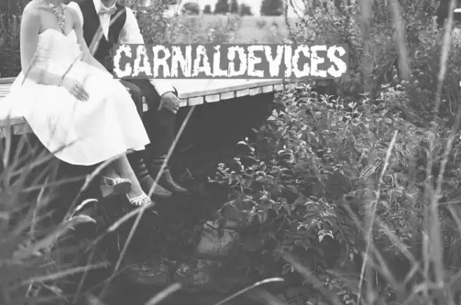 CarnalDevices Font examples