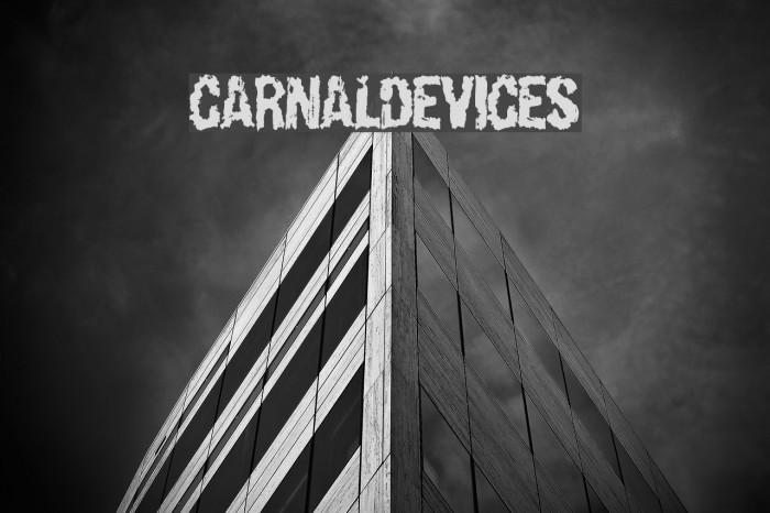 CarnalDevices Font examples