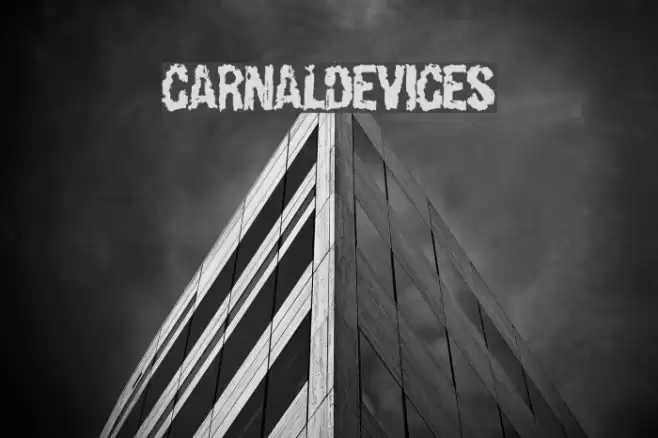 CarnalDevices Font examples