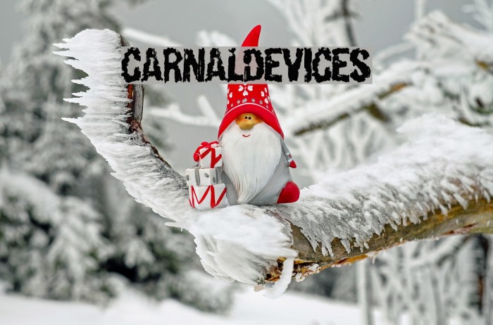 CarnalDevices Font examples