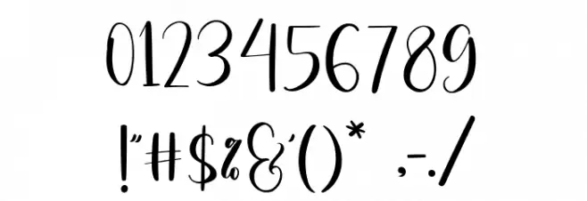 CarnationScript-Regular Font OTHER CHARS