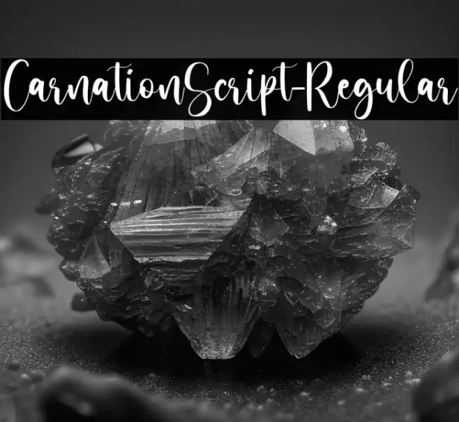CarnationScript-Regular Font examples