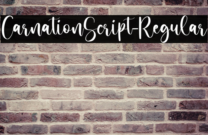 CarnationScript-Regular Example 3