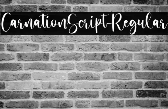 CarnationScript-Regular Font examples