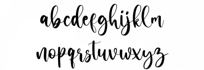 CarnationScript-Regular Schriftart Kleinbuchstaben