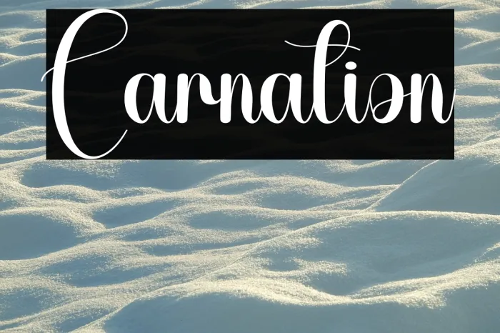 Carnation Example 2