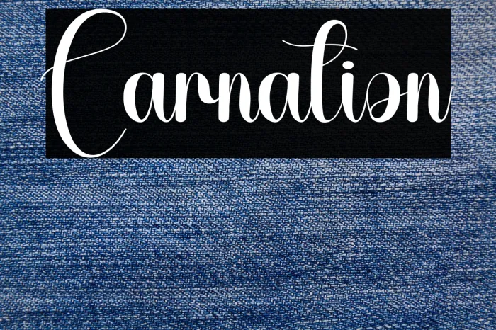 Carnation Example 3