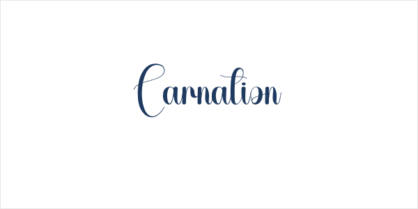 Carnation Logo